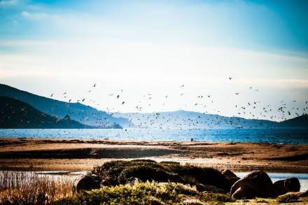 → Que faire en Corse du Sud ? · Casa C